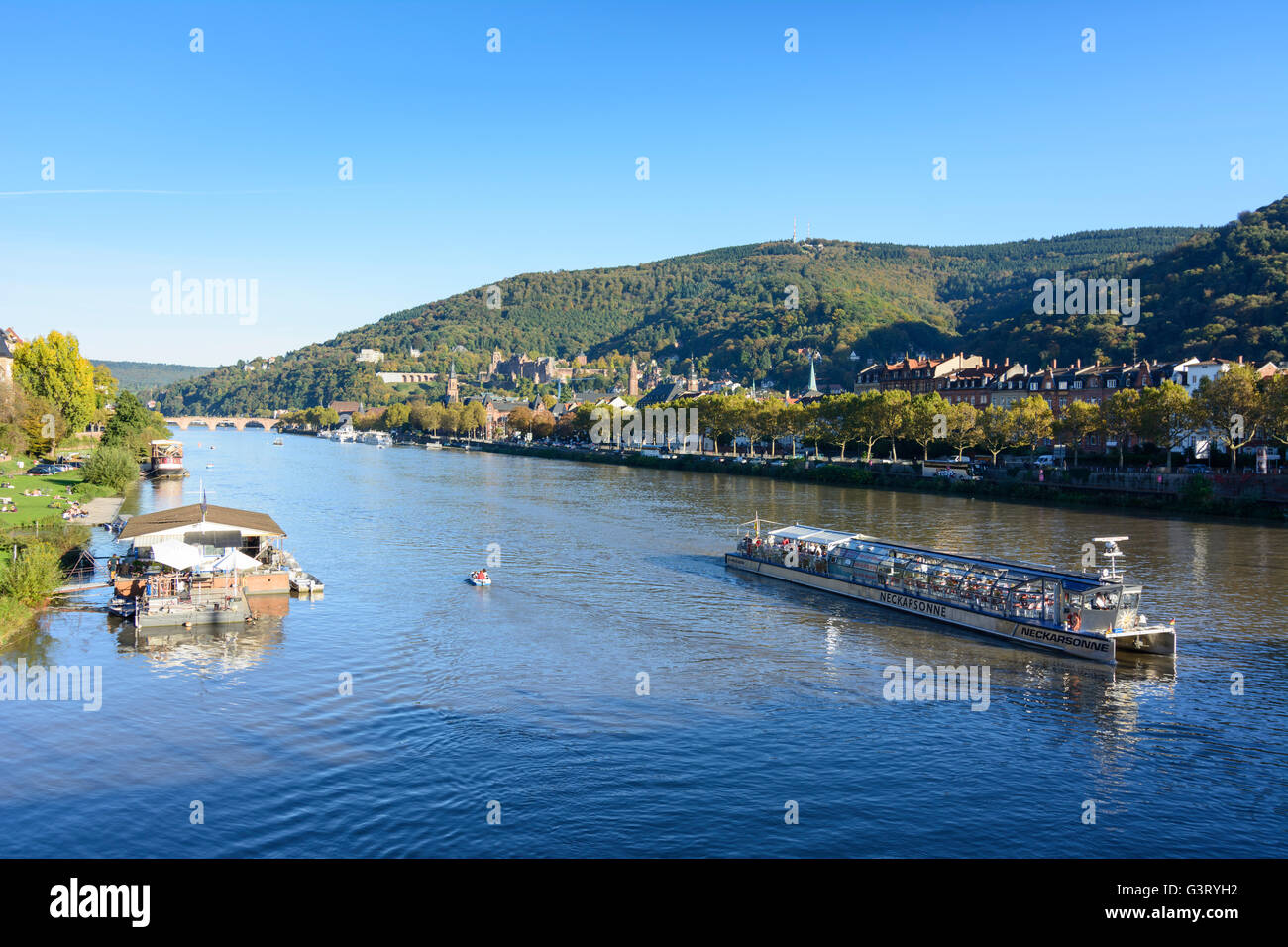 Fluss Neckar, Sonnenanbeter auf dem Neckar Wiesen und mit Blick auf die Altstadt mit dem Schloss und Berg Königstuhl mit Solar Stockfoto