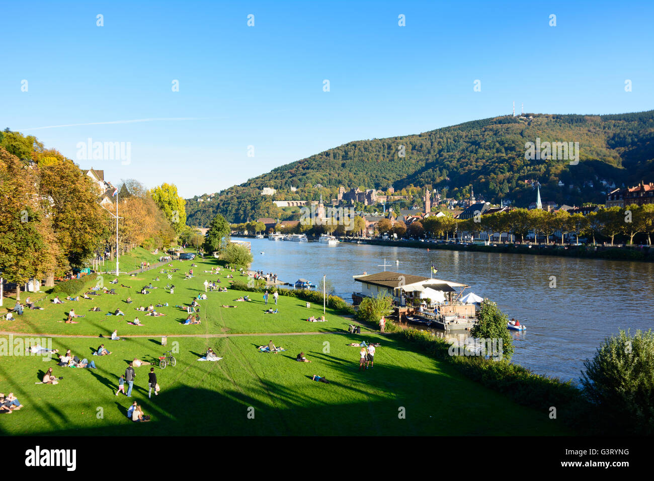 Fluss Neckar, Sonnenanbeter auf dem Neckar Wiesen und mit Blick auf die Altstadt mit dem Schloss und Berg Königstuhl, Deutschland, B Stockfoto