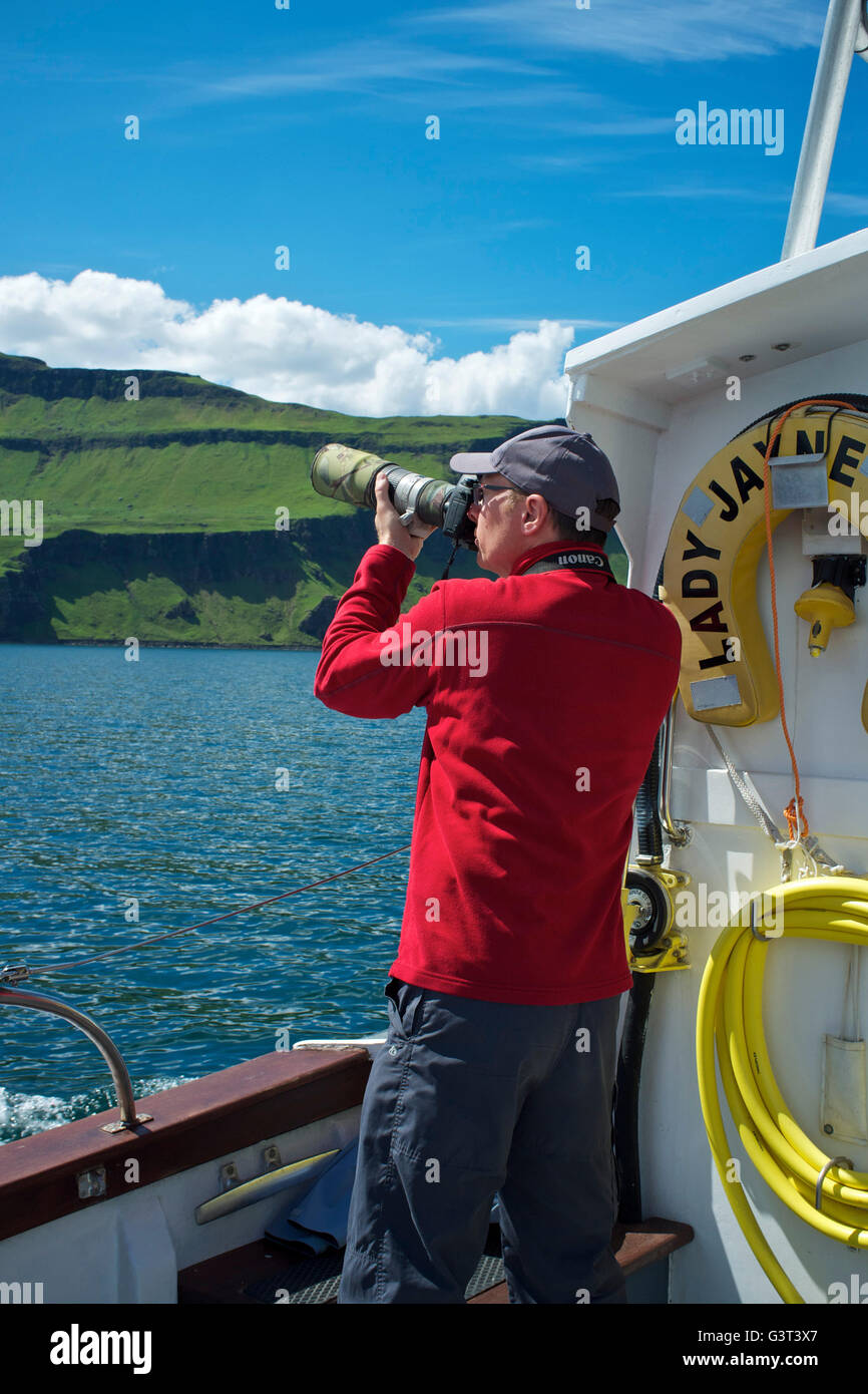 Loch Na Keal, Isle of Mull, Schottland. 14. Juni 2016: UK Wetter. Möglichst viele Teile des Landes leiden Regenstürme, der Westküste von Schottland badet in Temperaturen in den hohen Teens und strahlendem Sonnenschein als ein Mann Fotos einen Seeadler einen Fisch aus dem Mull Charter Boot Lady Jayne geworfen. Diese Vögel wurden in den 1970er Jahren, nachdem er ausgestorben seit 1918 wieder in Schottland aus Norwegen eingeführt. Bildnachweis: Alan Payton/Alamy Live-Nachrichten Stockfoto