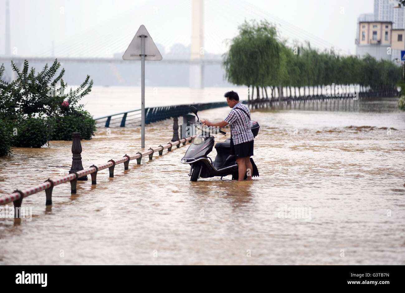 Liuzhou, China autonomen Region Guangxi Zhuang. 15. Juni 2016. Ein Mann steht auf die untergetauchten verlängerte Linie der Binjiang West Road in Liuzhou, Süd-China Autonome Region Guangxi Zhuang, 15. Juni 2016. Lokale Überschwemmungen und Dürre Erleichterung gewährt prognostiziert, dass der Liuzhou-Abschnitt des Liujiang-Flusses auf seine Warnung Wasserstand von 82,5 Metern in ca. 17:00 Mittwoch zu erhöhen. Bildnachweis: Cheng Qun/Xinhua/Alamy Live-Nachrichten Stockfoto