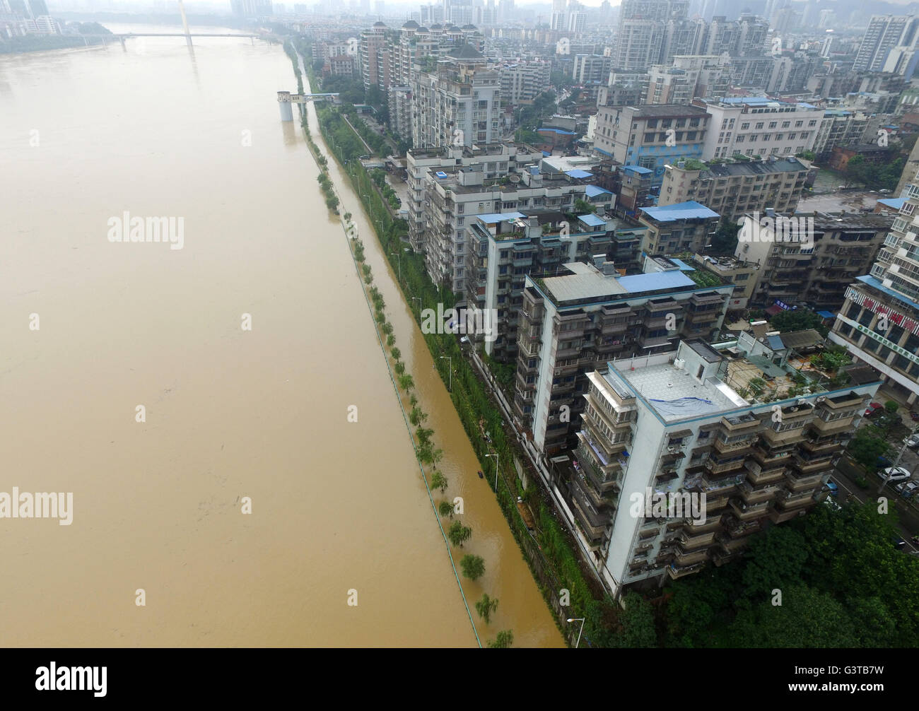 Liuzhou. 15. Juni 2016. Foto aufgenommen am 15. Juni 2016 zeigt getauchten verlängerte Linie der Binjiang West Road in Liuzhou, Süd-China Guangxi Zhuang Autonome Region. Lokale Überschwemmungen und Dürre Erleichterung gewährt prognostiziert, dass der Liuzhou-Abschnitt des Liujiang-Flusses auf seine Warnung Wasserstand von 82,5 Metern in ca. 17:00 Mittwoch zu erhöhen. Bildnachweis: Cheng Qun/Xinhua/Alamy Live-Nachrichten Stockfoto