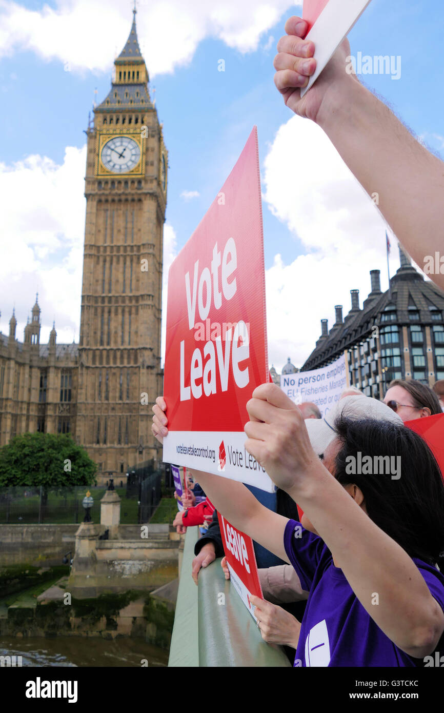 London.UK.15th Juni 2016.The Abstimmung verlassen Flottille kommt zu den Houses of Parliament, mit Anhängern auf Westminster Bridge in Anlehnung an die Botschaft und bleiben Boote verderben die Partei auf der Themse durch Weben innerhalb und außerhalb der Flottille. © Brian Minkoff/Alamy Live News Bildnachweis: Brian Minkoff/Alamy Live-Nachrichten Stockfoto