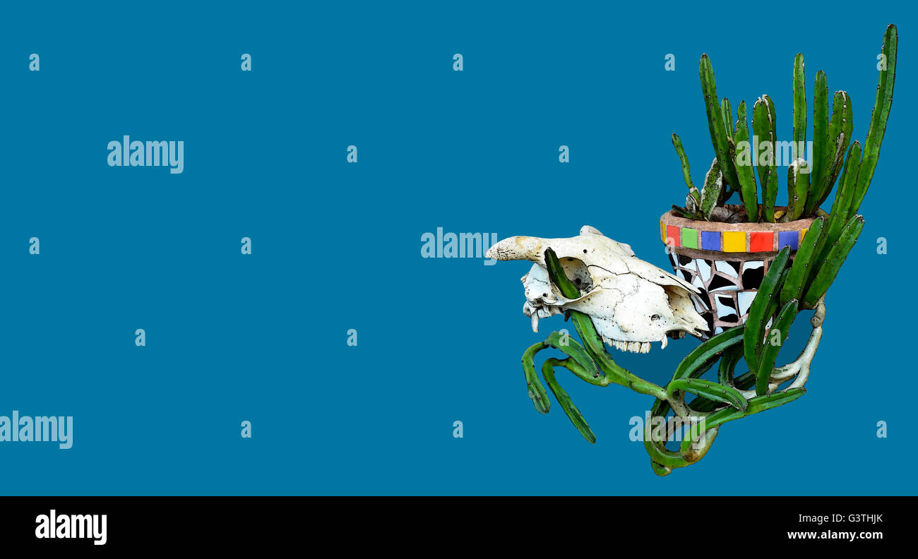 Tier (Schaf) Schädel und mexikanische Mosaik Topfpflanze mit Cactus isoliert auf einem blauen Hintergrund. Mexikanische oder westlichen Ranch Thema. Stockfoto