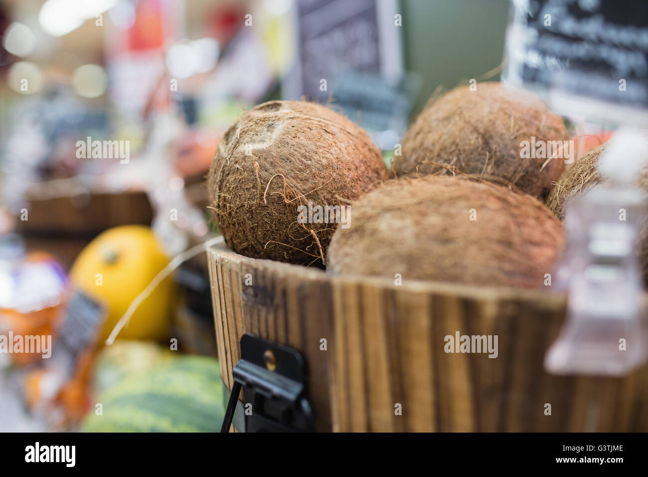 Vordergrund der Kokosnüsse im Fokus Stockfoto