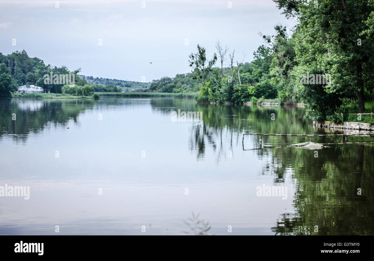 Grünes Wassersee im Wald Stockfoto