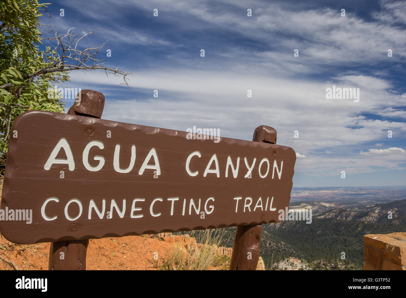 Agua Canyon Zeichen im Bryce-Canyon-Nationalpark, Utah, USA Stockfoto