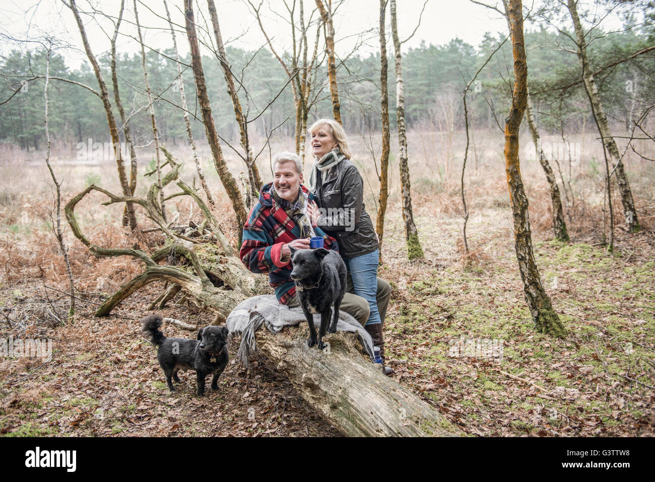 Senior Paar genießt eine Pause mit ihren Hunden bei einem Waldspaziergang. Stockfoto