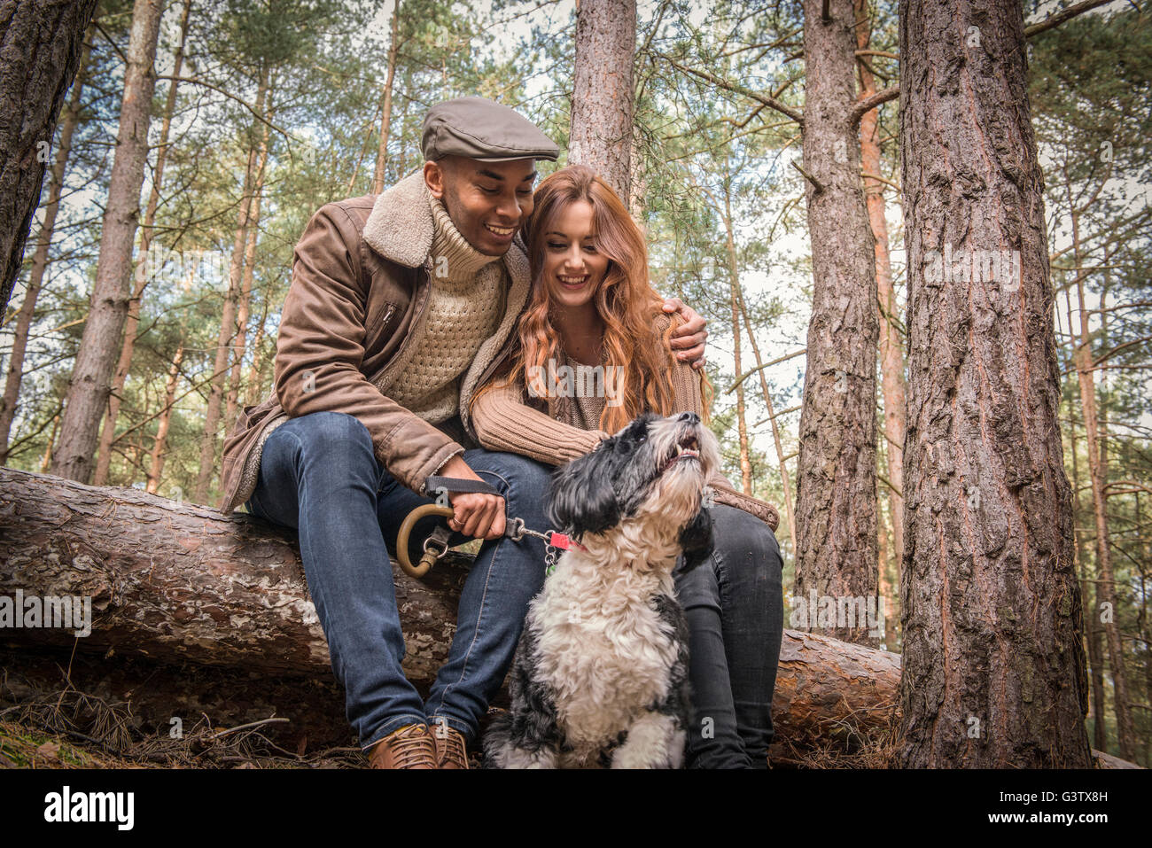 Ein junges Paar sitzt mit ihrem Hund bei einem Waldspaziergang im Herbst. Stockfoto