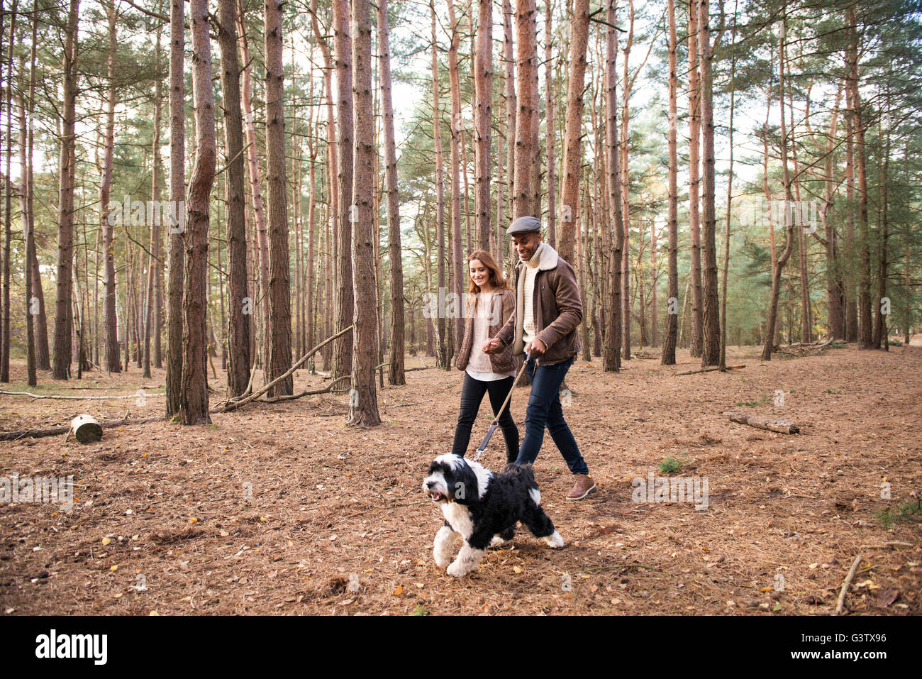 Ein junges Paar, mit ihrem Hund auf einem Waldspaziergang im Herbst. Stockfoto
