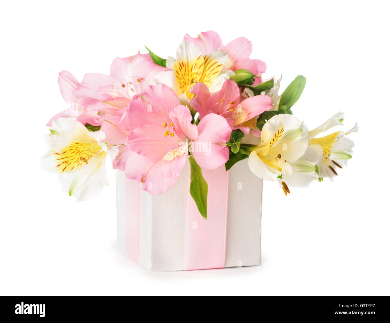 Schöner Blumenstrauß rosa Alstroemeria in einer Geschenkbox isoliert auf weißem Hintergrund Stockfoto