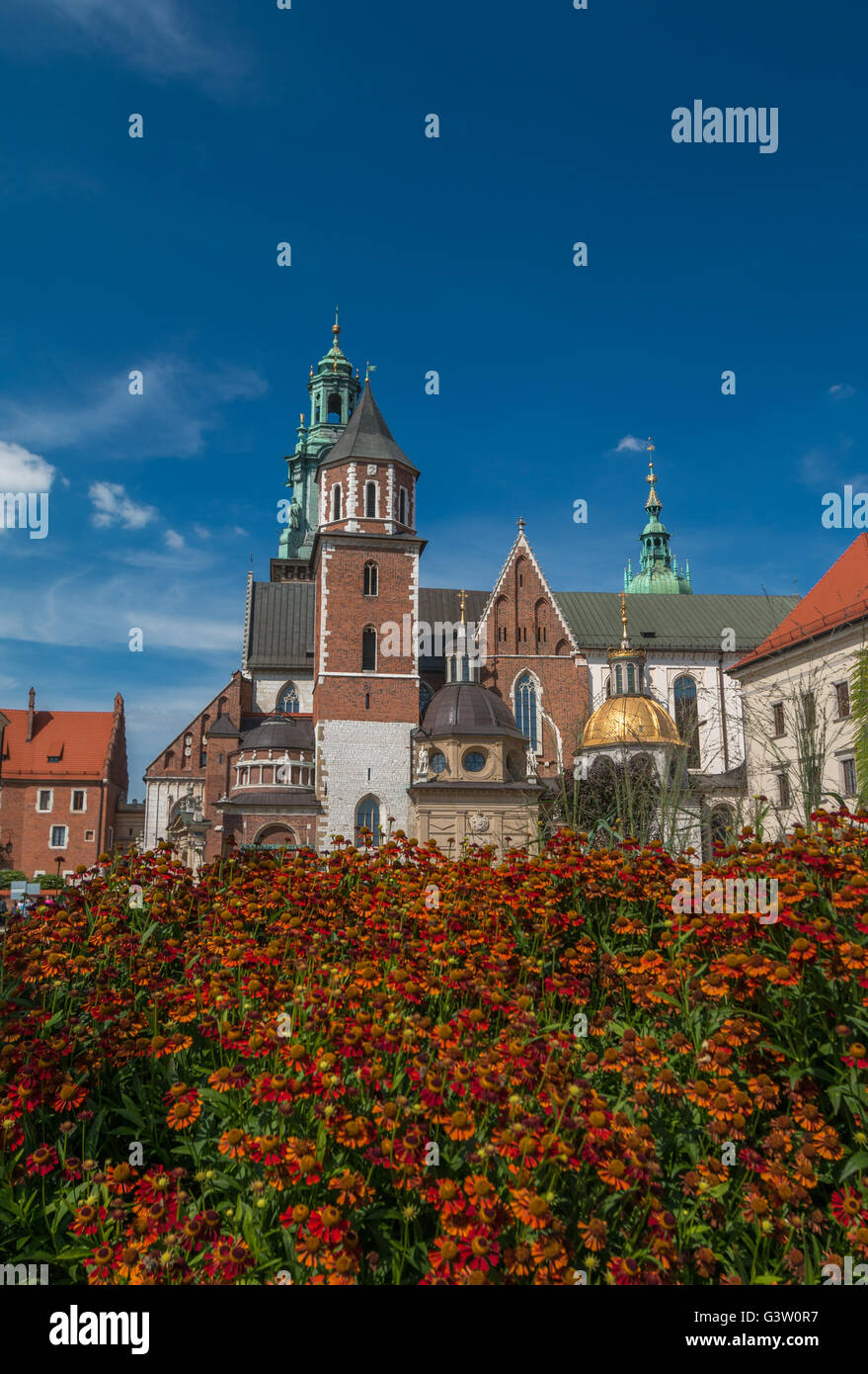 Wawel-Kathedrale in Krakau Stockfoto
