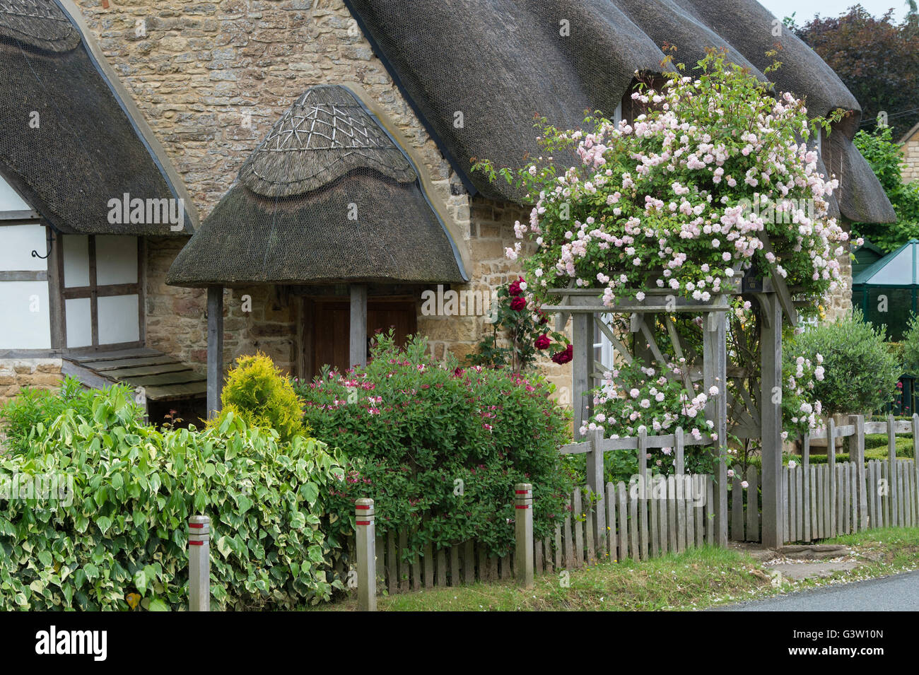 Rosen auf eine hölzerne Torbogen vor einem Reetdachhaus Cotswold-Stein. Ashton unter Hill, Worcestershire, England Stockfoto