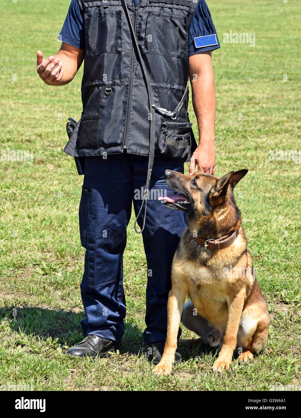 Polizist mit seinem Hund schnüffeln Stockfoto