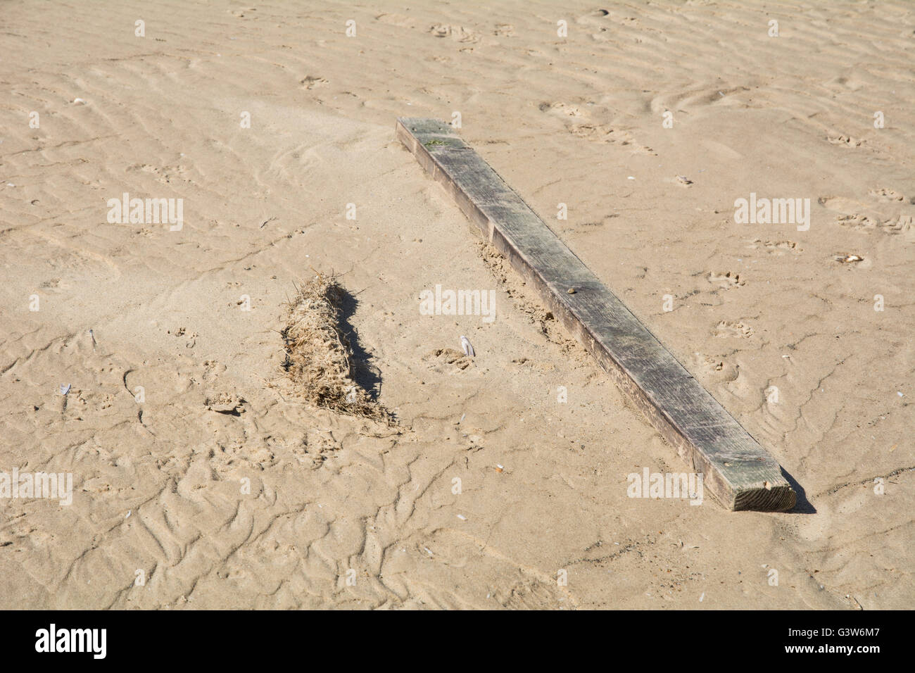 Ein Block des Holzes im Sand am Strand Stockfoto