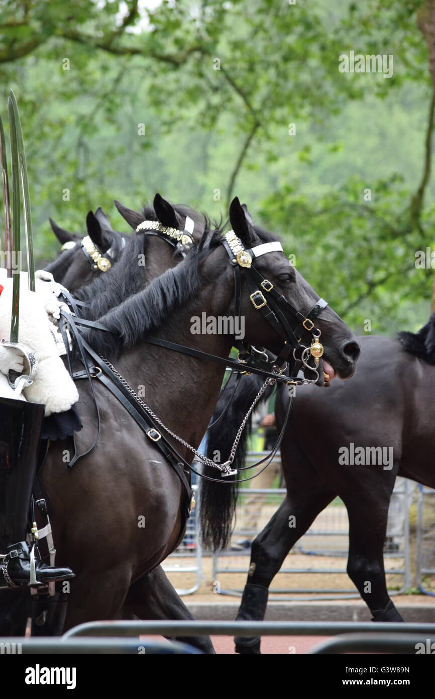 Queen es Birthday Parade Stockfoto