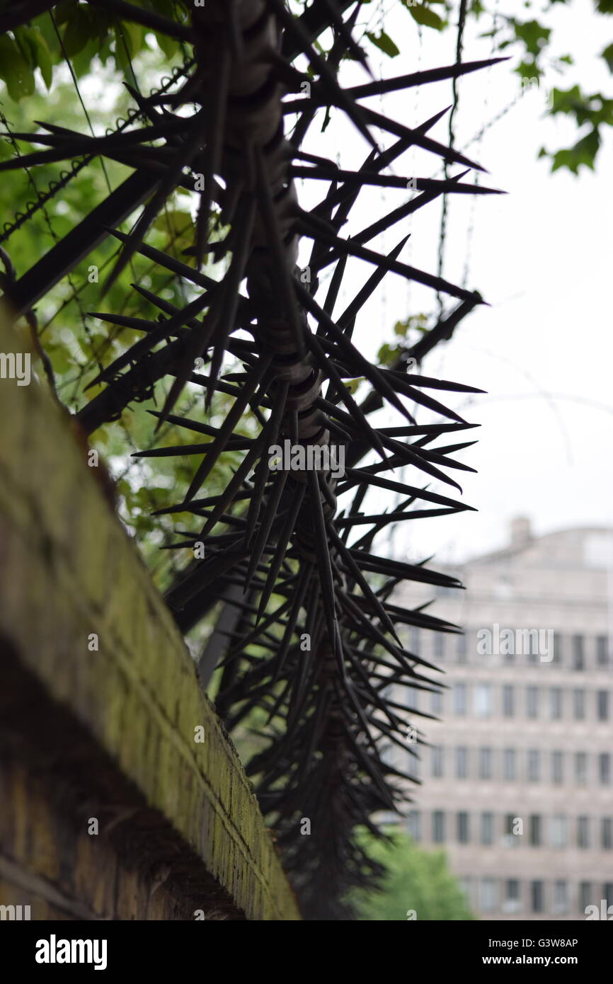 Stacheldraht Stockfoto