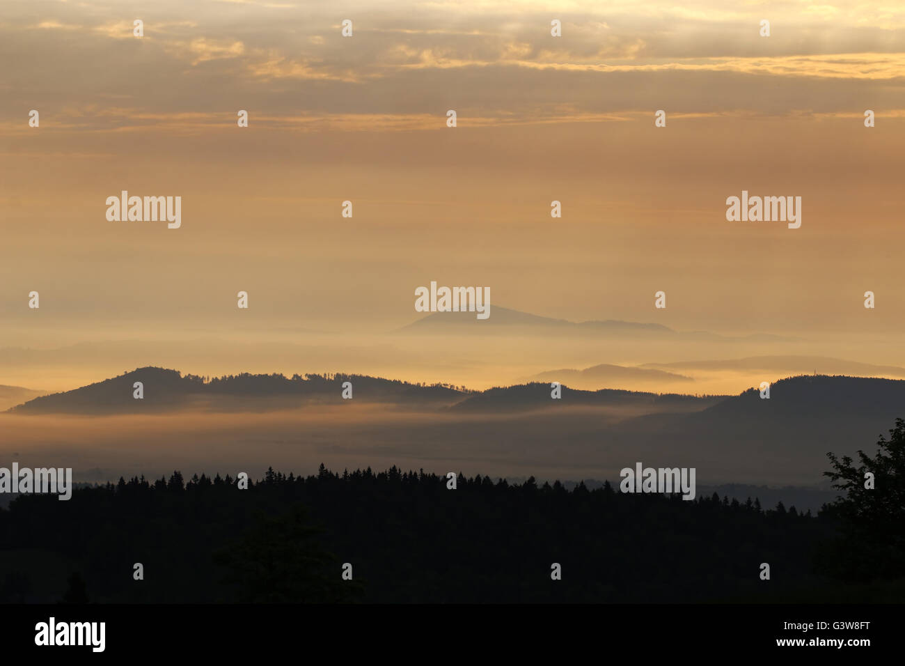 Bewaldeten Hügeln in der Morgensonne und Nebel Stockfoto