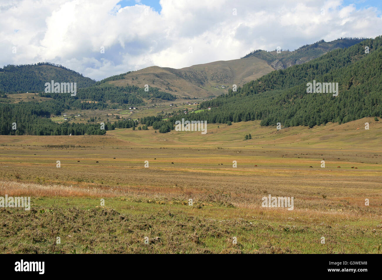 Landschaft mit Bergen und Wiesen im Phobjikha Tal (Bhutan). Stockfoto