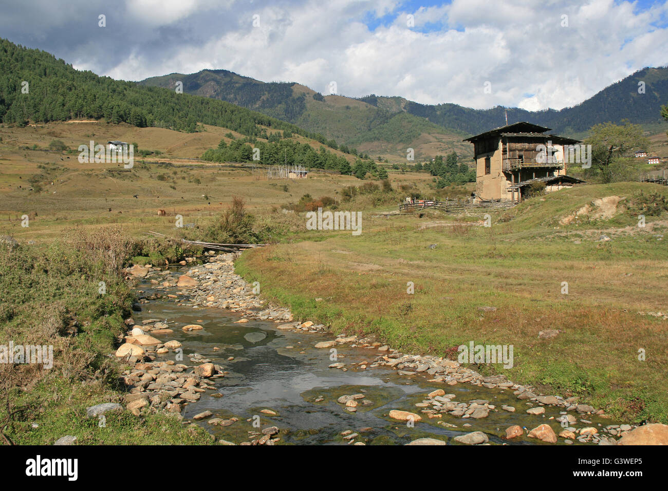 Landschaft von Bergen, Wiesen, ein Bach und ein Haus im Phobjikha Tal (Bhutan). Stockfoto