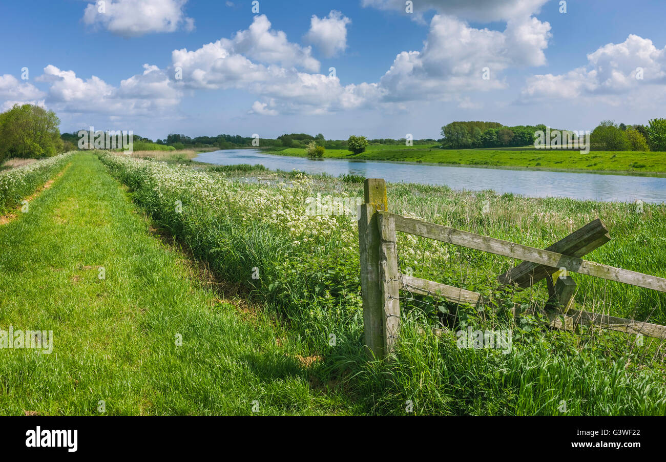 Wanderweg entlang der Ufer des Flusses Rumpf mit wilden Blumen und üppiger Rasen auf einem feinen Sommertag und Wolken. Stockfoto