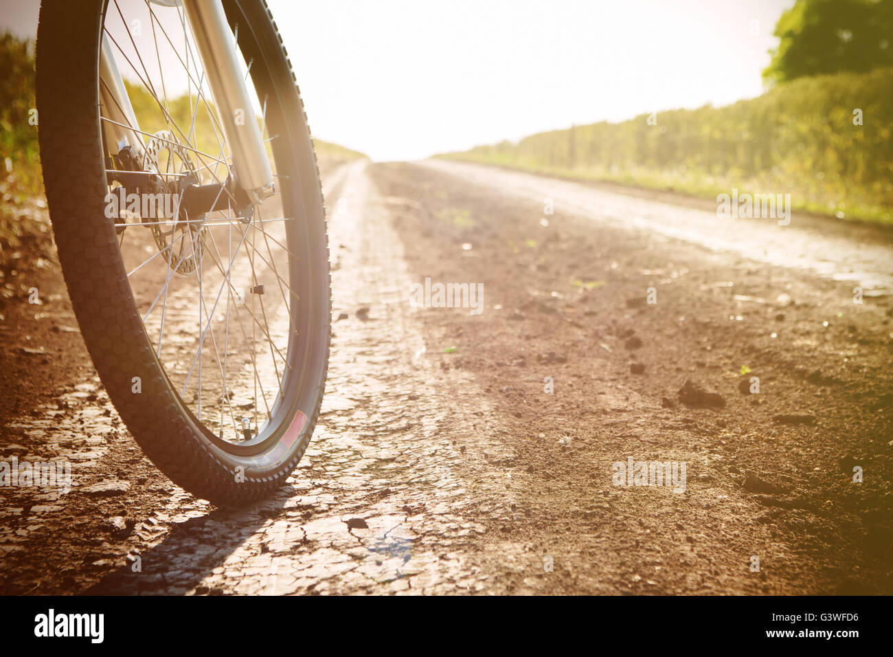 Mountainbike am sonnigen Tag auf dem Feldweg Stockfoto