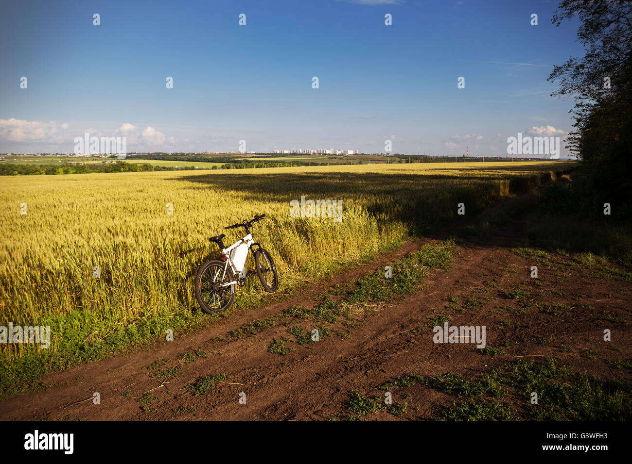 Mountainbike am sonnigen Tag auf dem Feldweg Stockfoto