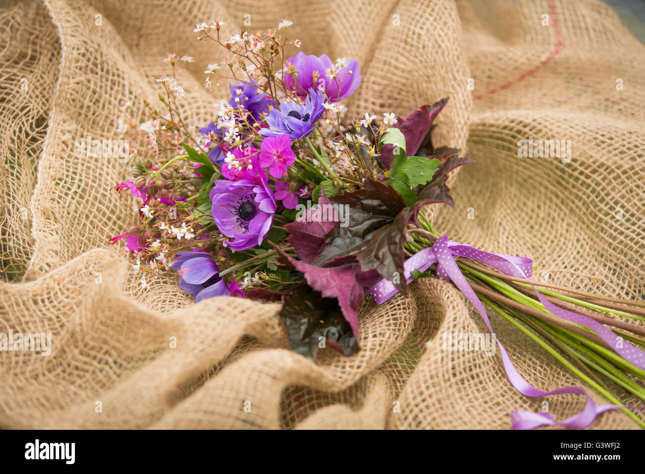 Gartenstil Sommer Bouquet. Mischung aus Flieder und lila Anemone Blumen, Geranien Blumen und Heuchera oder Alumroot lässt. Blumenstrauß Stockfoto