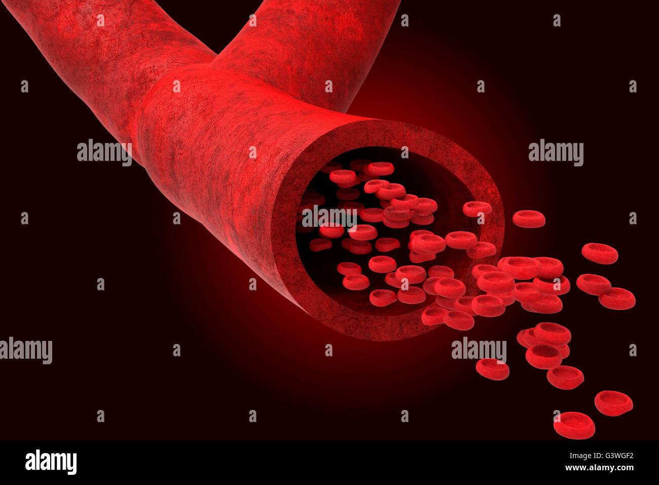 Blutgefäß mit Bloodcells durchströmt Stockfoto
