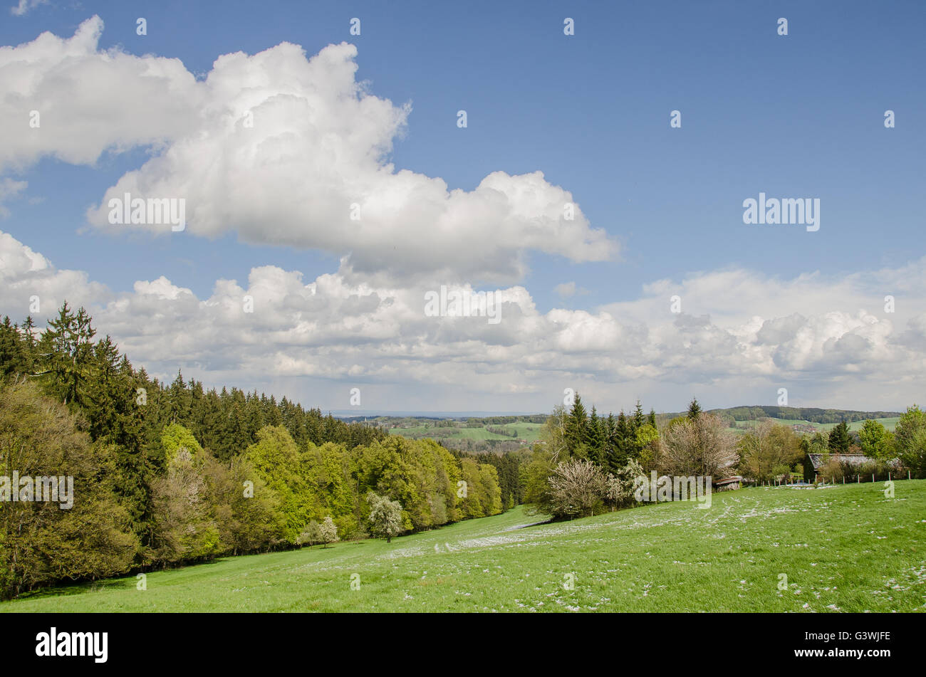 Vorfrühling im Voralpenland! Stockfoto