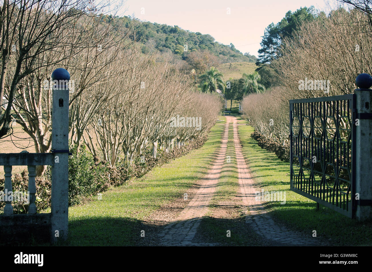 Eingang zu einem Bauernhof von Kleinbauern, eine Spur, die zum Bauernhof führt. Stockfoto