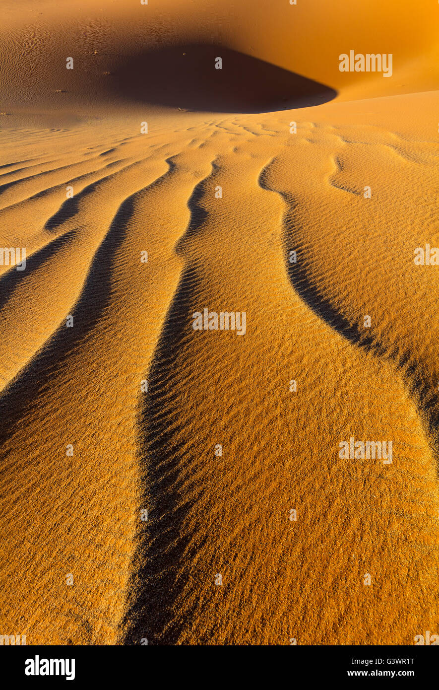 Sossusvlei ist ein Salz und Ton Pan, umgeben von hohen roten Dünen, befindet sich in der in der Namib-Naukluft Nationalpark Namibias Stockfoto