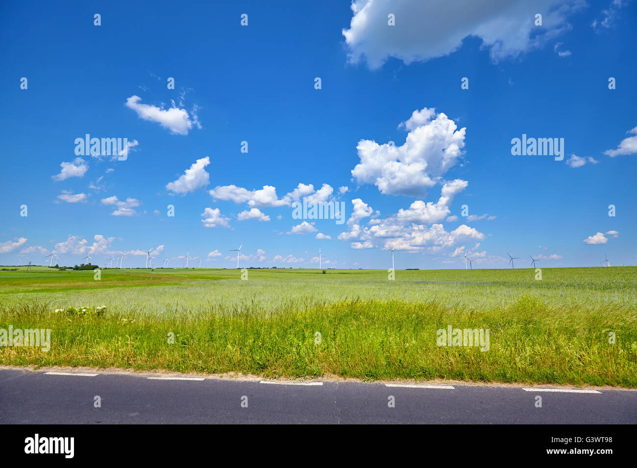 Grünes Feld mit Windmühlen in einem Abstand von der Straße gesehen. Stockfoto