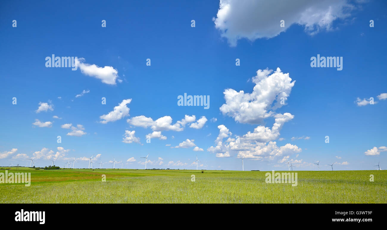 Panoramaaufnahme der grünen Wiese mit Windmühlen. Stockfoto