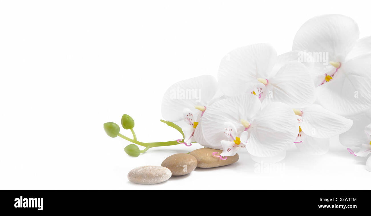 Wellness weiße Orchidee Massage Steine auf weißem Hintergrund Stockfoto