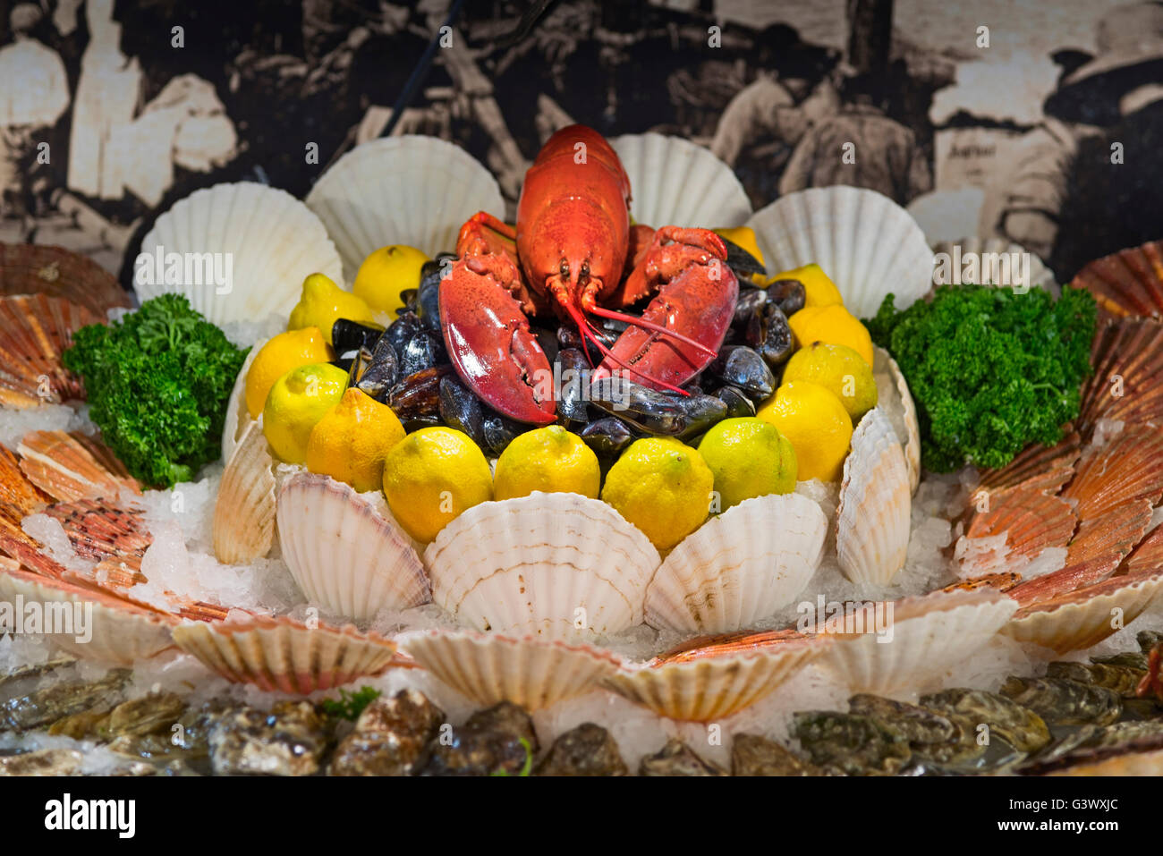 Meeresfrüchte anzeigen Rue des Bouchers äußeren Sacré Brüssel Belgien Stockfoto