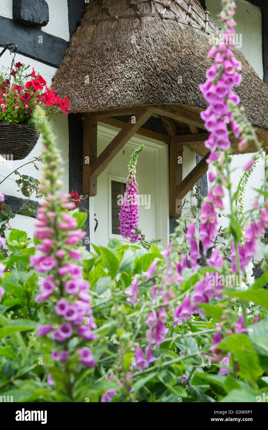 Traditionelle eiche gerahmte veranda Fotos und Bildmaterial in hoher