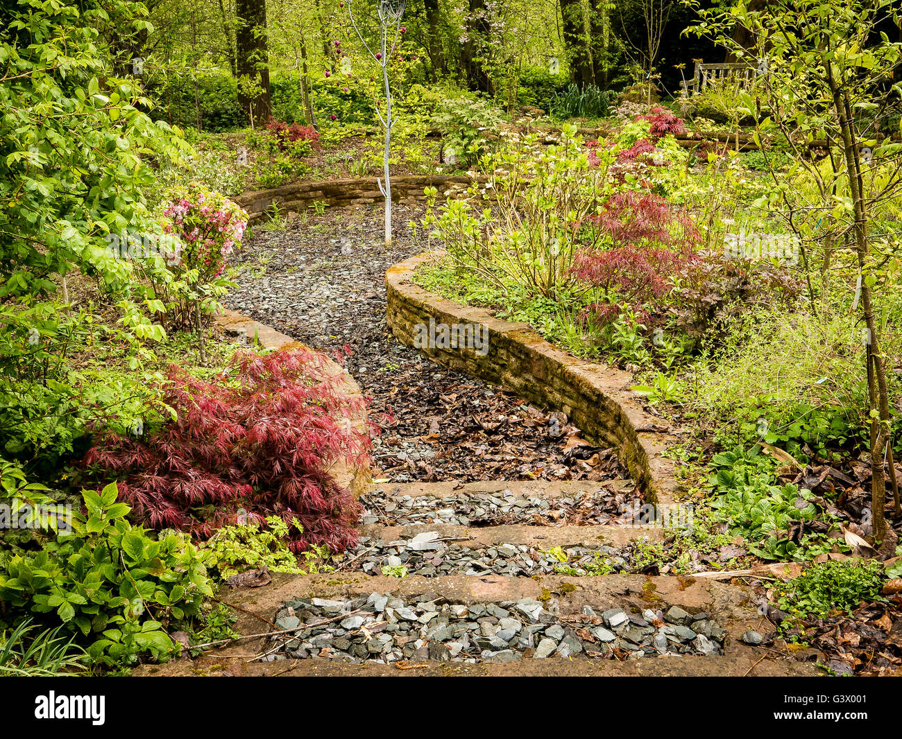 Treppen, die in einen Waldweg hinter einigen Bäumen verschwindet Stockfoto