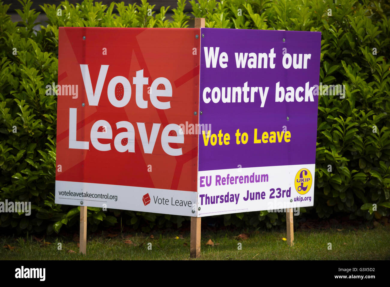 Abstimmen lassen Anzeichen, Ausfahrt EU Austritt, UKIP EU Referendum Zeichen Bild Mark Westley Stockfoto