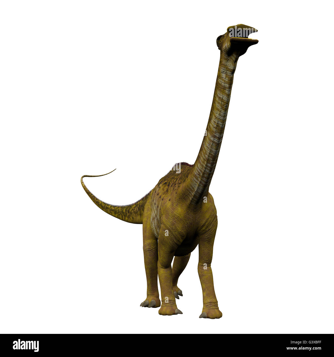 Nigersaurus war ein Sauropoden pflanzenfressenden Dinosaurier, der in der Republik Niger in Afrika während der Kreidezeit lebte. Stockfoto