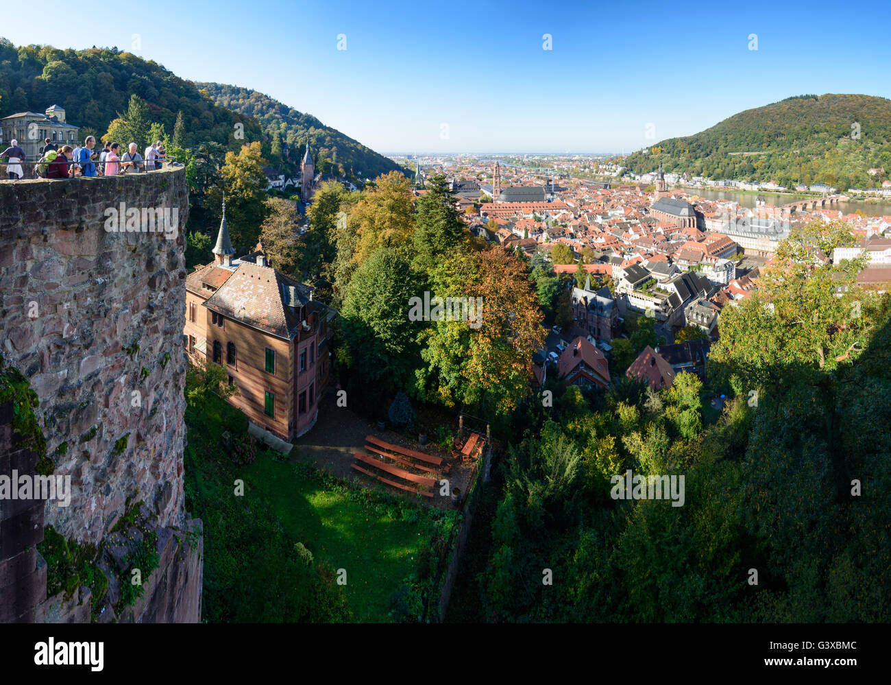 Blick vom Garten Stückgarten der Burg auf die Altstadt, Jesuitenkirche und Heiligen-Geist-Kirche und Neckar, Deutschland, Baden-Württemb Stockfoto