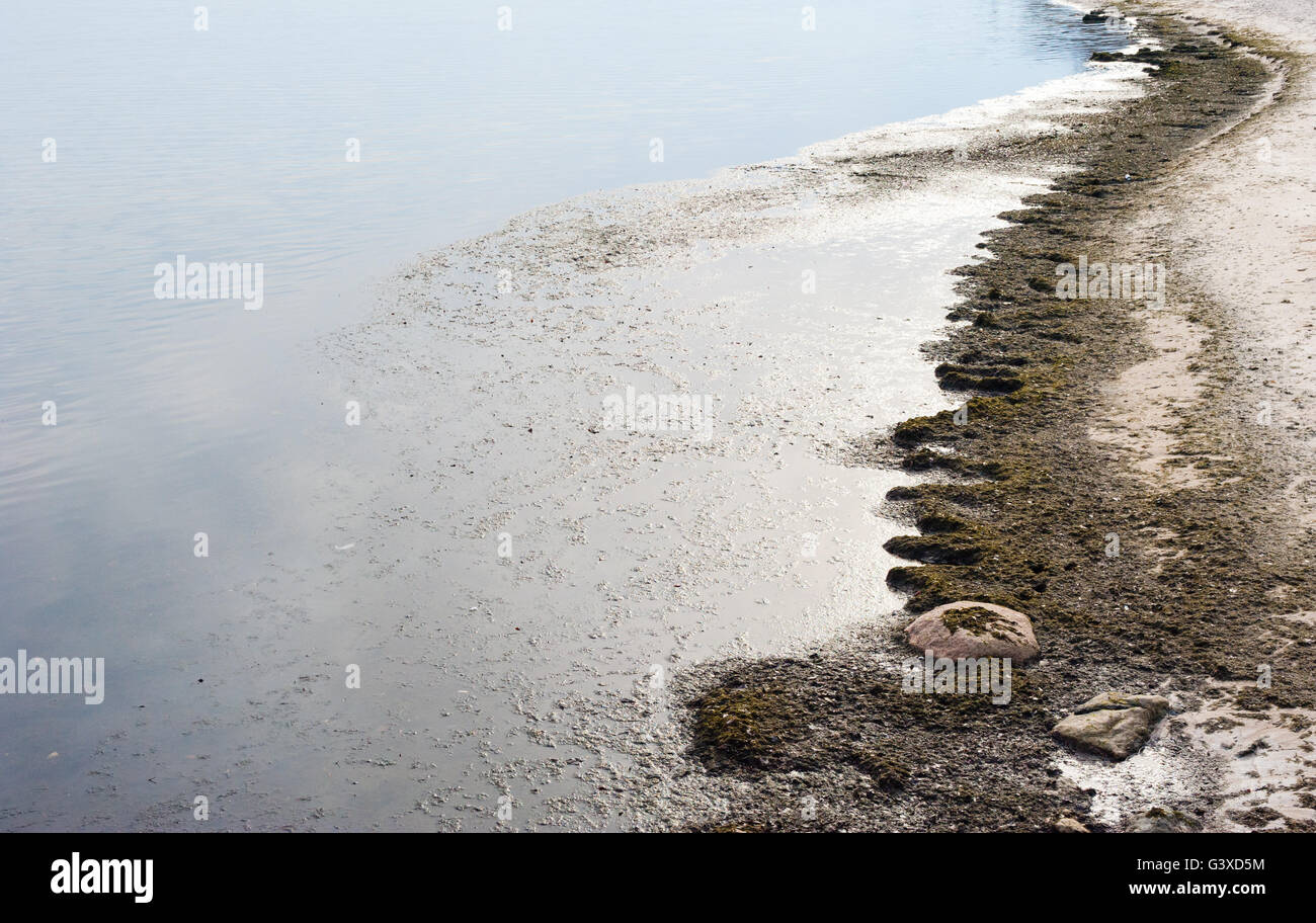 Strand mit schmutzigen Algen durch stilles Wasser mit ein paar Felsen im Vordergrund. Stockfoto