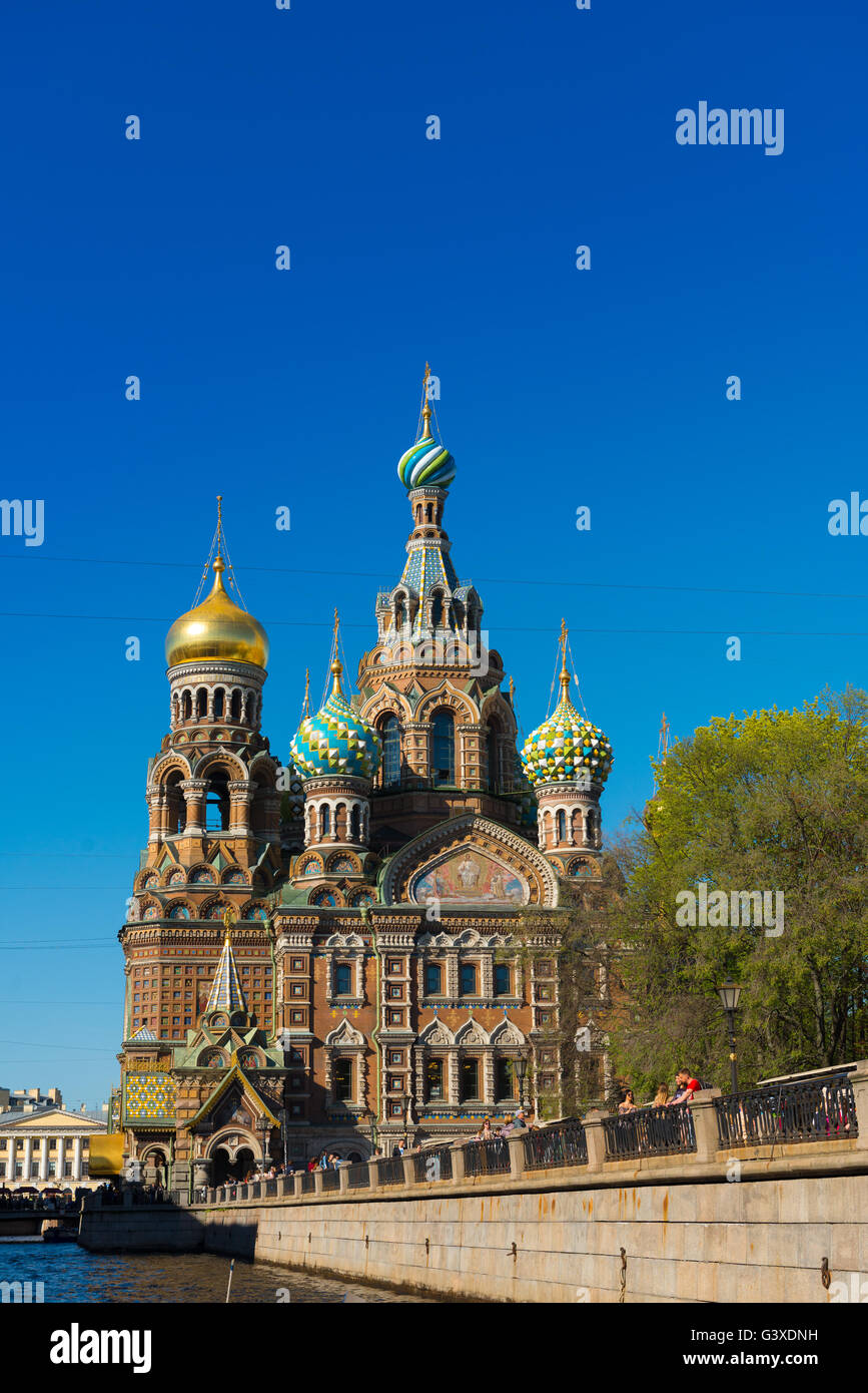 Retter auf die vergossene Blut-Kathedrale, Sankt Petersburg Stockfoto