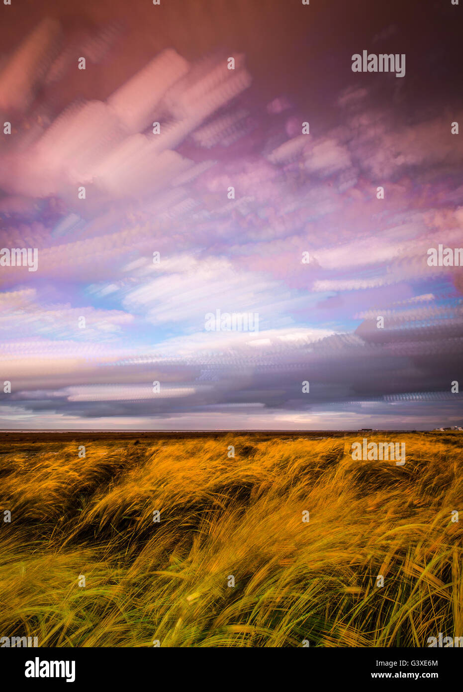 Timelapse Bewegung der Wolken über Marschland und Gräser im Sonnenlicht Stockfoto