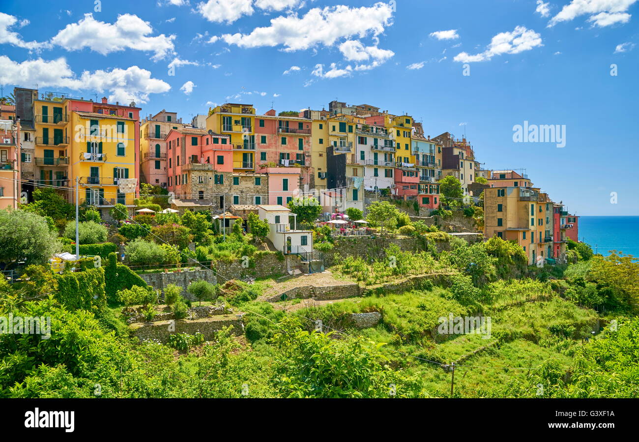 Croniglia, Riviera de Levanto, Cinque Terre, Ligurien, Italien Stockfoto