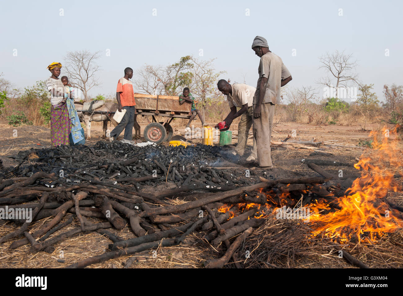 MALI, Sahelzone, über die Produktion von Kohle von Bush Holz ist eine Umweltverträglichkeitsprüfung für dieses trockene Region, Holzkohle zum Kochen Energie verwendet wird. Stockfoto