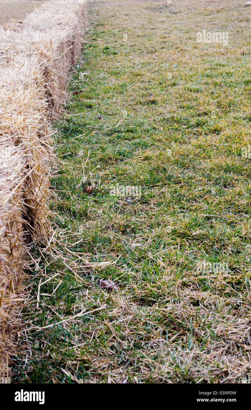 Reihe von kleinen quadratischen Strohballen bilden Barriere auf dem Rasen. Stockfoto