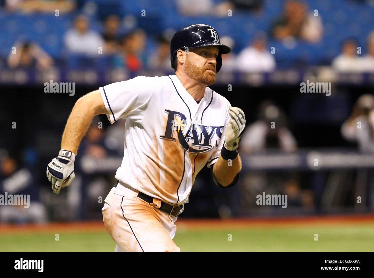 St. Petersburg, Florida, USA. 15. Juni 2016. WILL VRAGOVIC | Times.Tampa Bay Strahlen zweiter Basisspieler Logan Forsythe (11) Dreibettzimmer im dreizehnten Inning des Spiels zwischen den Seattle Mariners und die Tampa Bay Rays im Tropicana Field in St. Petersburg, Florida am Mittwoch, 15. Juni 2016. Die Tampa Bay Rays schlagen die Seattle Mariners 3-2. © Willen Vragovic/Tampa Bay Times / ZUMA Draht/Alamy Live News Stockfoto