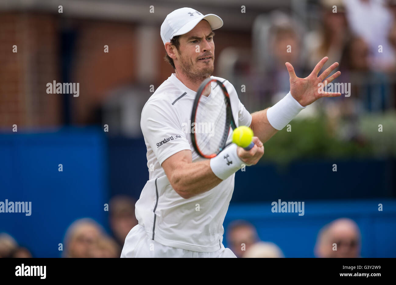 Tennis-Singles datieren ukHalo-Matchmaking nicht verbunden