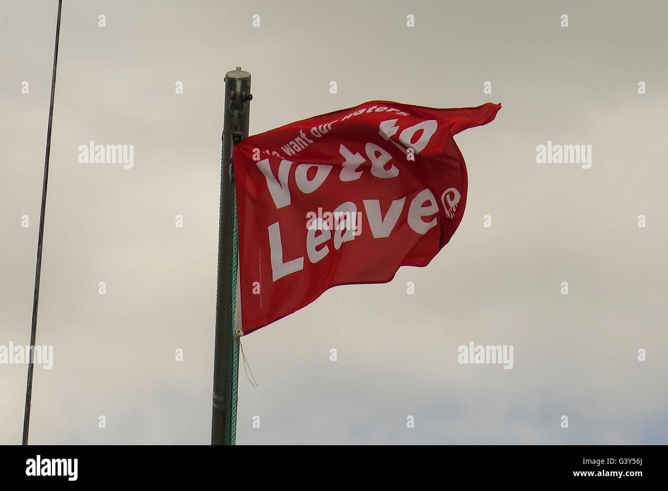 Flag "stimmen zu verlassen" in Cornwall, England.   © Jürgen Schwarz / Alamy Live News Stockfoto