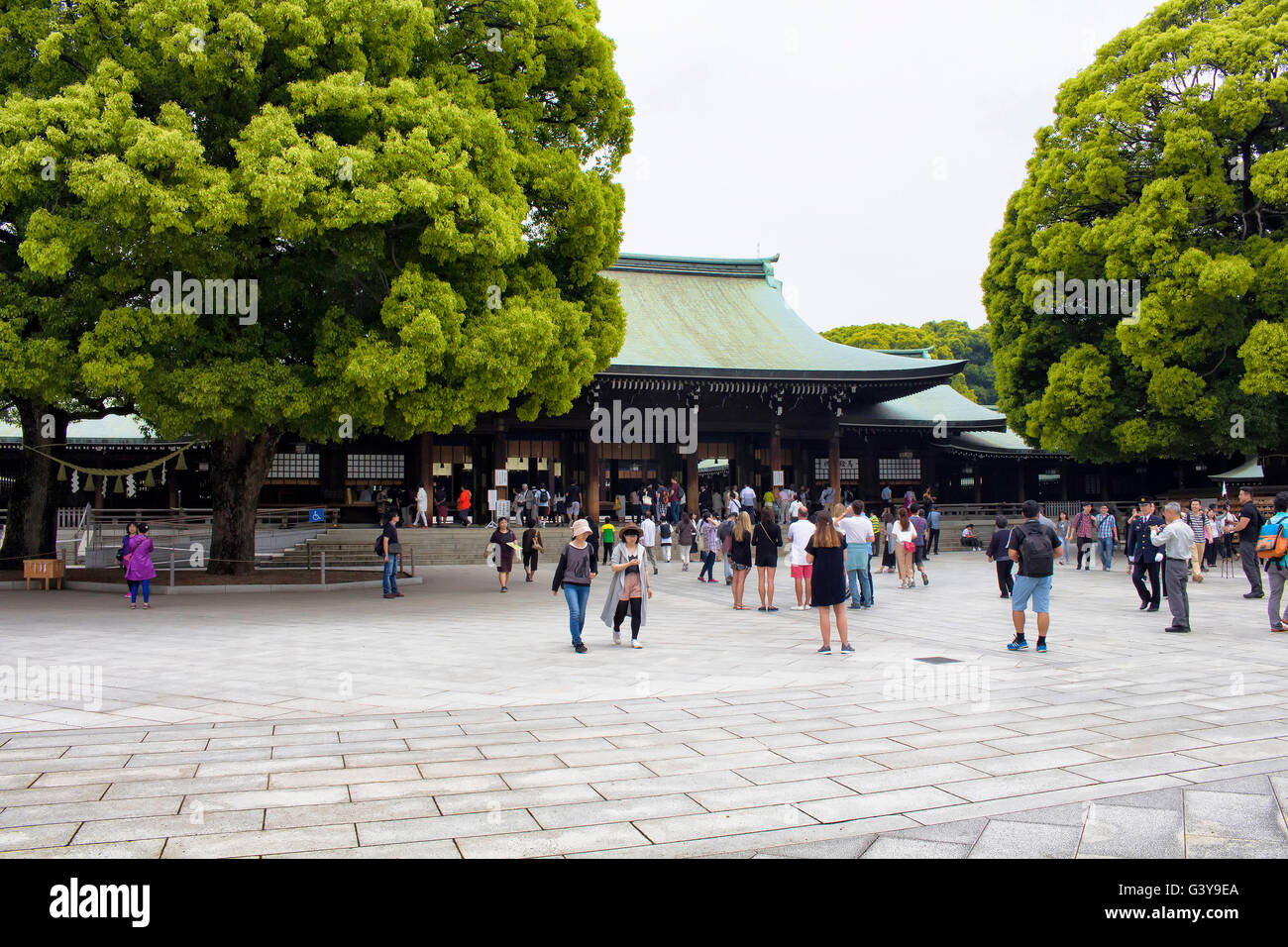 Tokio - Mai 2016: Menschen besucht Meiji-Schrein im Yoyogi Park am 28. Mai 2016 Stockfoto